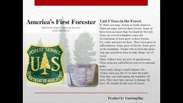 Unit 05  Trees in the forest  Listening Practice Through Dictation 1