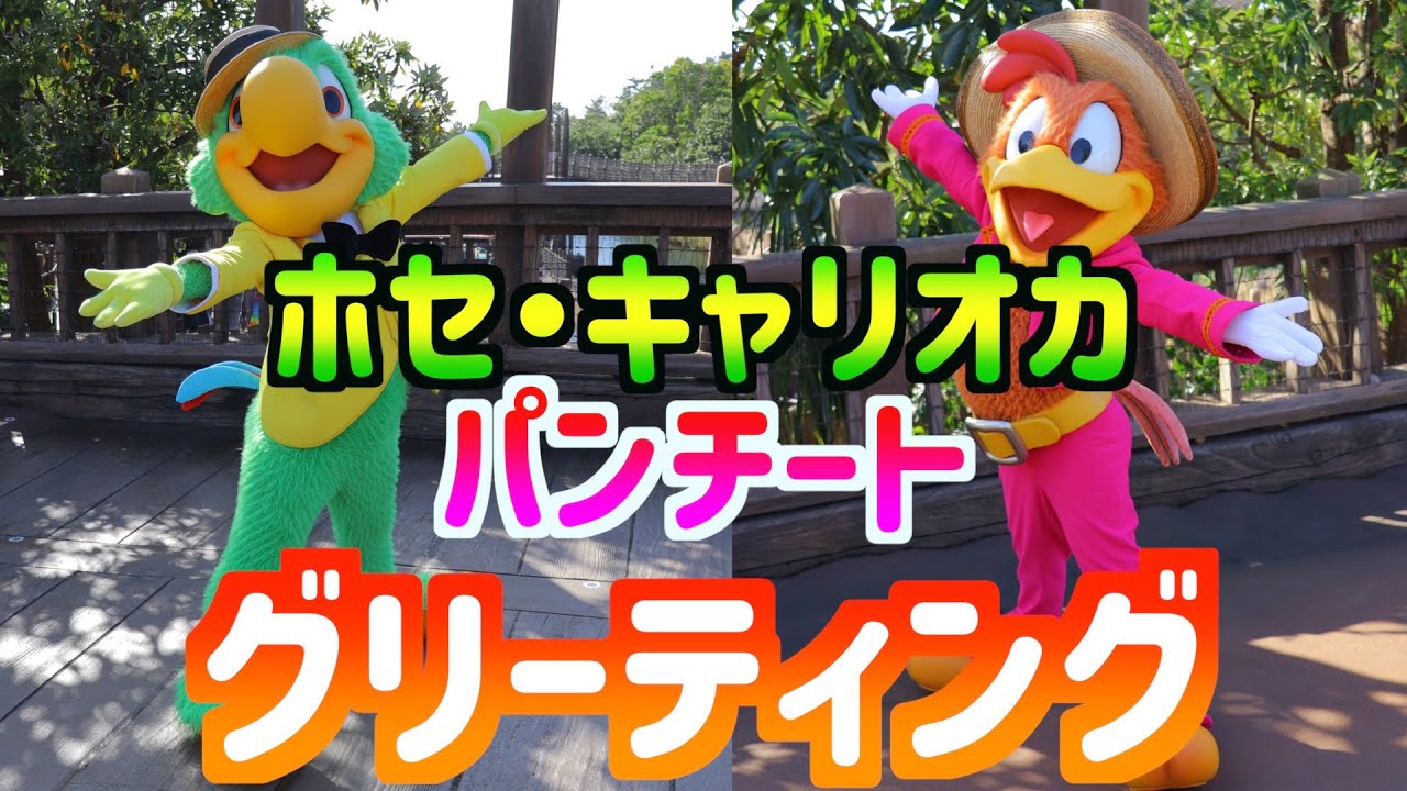 ディズニーシーでゆるゆるグリーティング ホセ キャリオカ パンチート Youtube