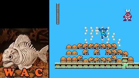 THE WORST LEVEL EVER - MEGA MAN MAKER