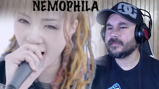 NEMOPHILA - Rise (REACTION)