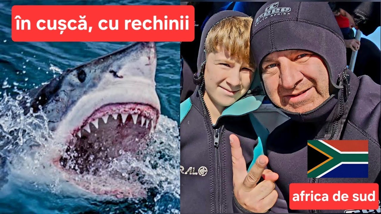 În cușcă cu rechinii! Incredibil ce poți să găsești în Africa de Sud! 