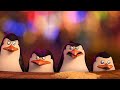 Los Pingüinos De Madagascar Viral