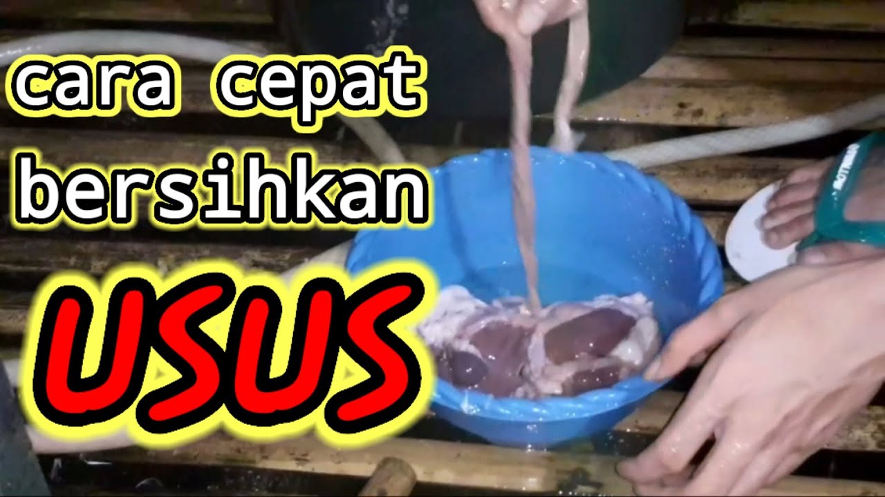 Cara membersihkan usus ayam