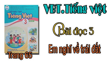 Vở bài tập tiếng việt lớp 3 sách cánh diều bài 17 Bài đọc 3 Em nghĩ về trái đất trang 65