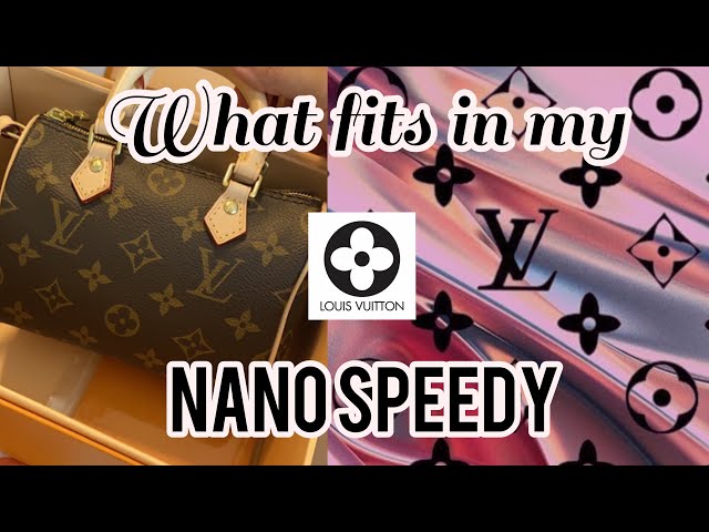 What fits in my LV Nano Speedy? 