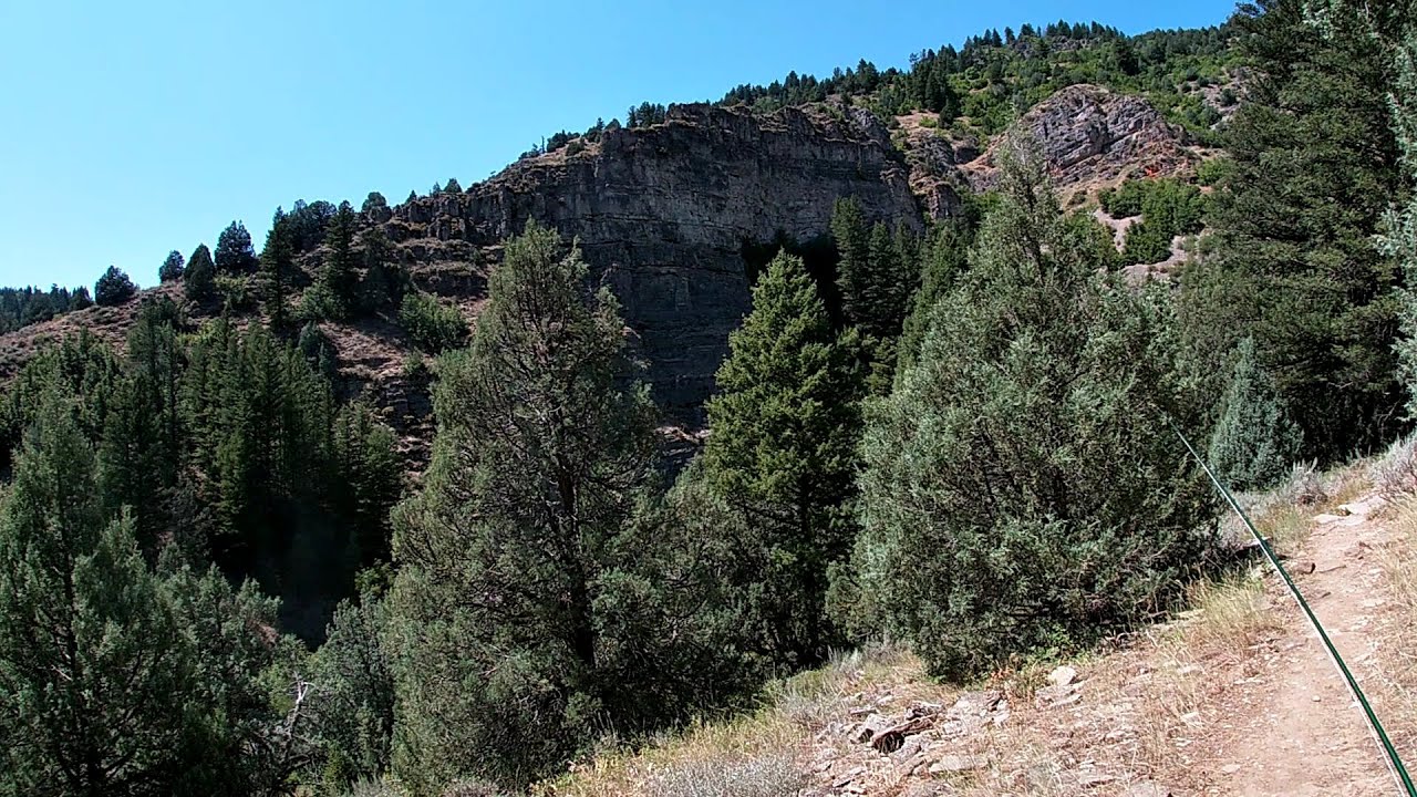 Fly Fishing the Logan River (Utah) Hoppers! YouTube