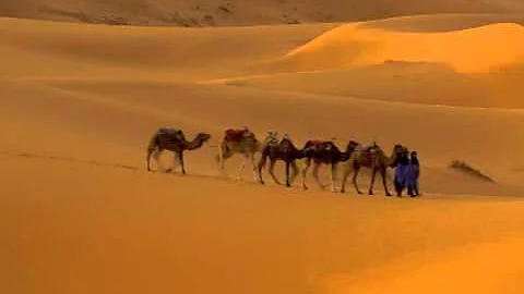 Seyfettin Sucu - Demedim Mi?