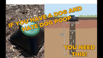 Dog poop septic system is a must have for any pet owner.