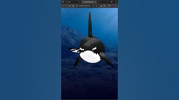Whale SVG Animation #programación #animation3d #javascript #effect #code #whale