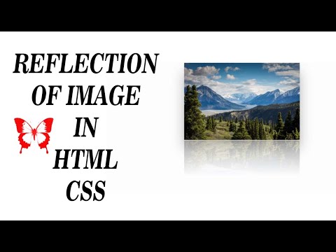 Reflection on Image in Html & Css.