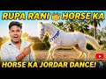 RUPA RANI 👑 HORSE 🐴 KA JORDAR DANCE 🕺