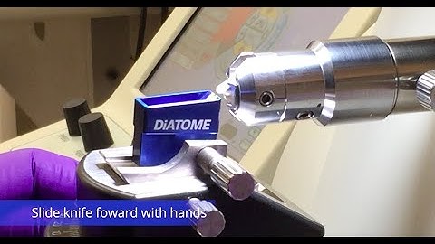 Microtome Sectioning