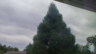 Mostly Cloudy High Clouds & Monsoon Altocumulus, Light SW Winds 11:42am August 1, 2023