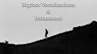 Bigfoot’s Infrasound: Why Witnesses Feel Fear, Paralysis & Dread