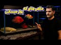 مانستر فیش هایی که خریدشون سرمایه گذاریه نه خرج