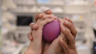 ASCB Celldance 2016: “Discovery Inside Living Cells in Multicellular Organisms”