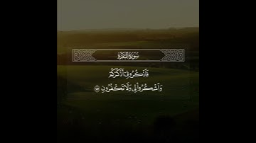 ﴿فاذكروني أذكركم واشكروا لي ولا تكفرون﴾ / القارئ عبدالله الموسى