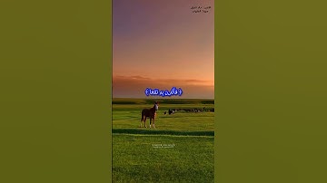 وَالْعَادِيَاتِ ضَبْحًا- تلاوة خاشعة للشيخ خالد الجليل