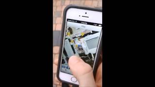 Aris Raptor Run (short version) screenshot 5