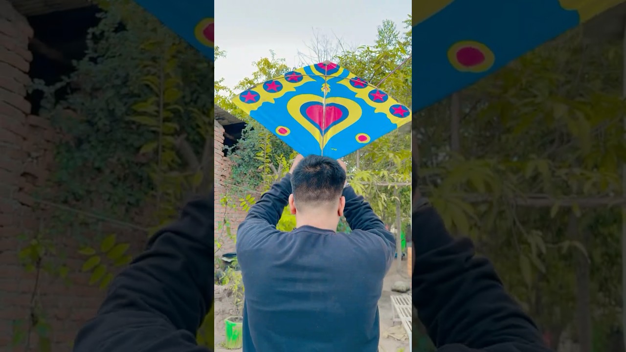 Makar sankranti special patang 🪁😳 