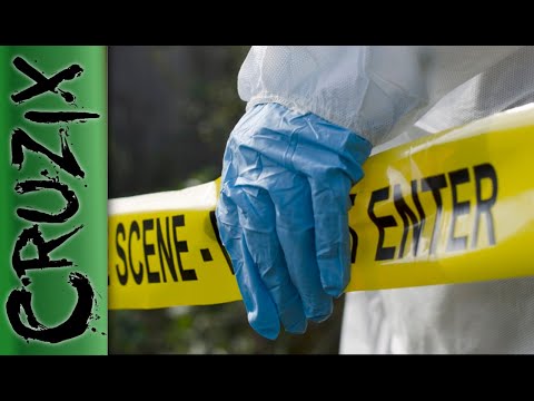 "Nur eine Unterhaltung" Pocket Horror Ep.289 [GER by Cruzix] — Video von Cruzix [Pocket Horror] auf YouTube
