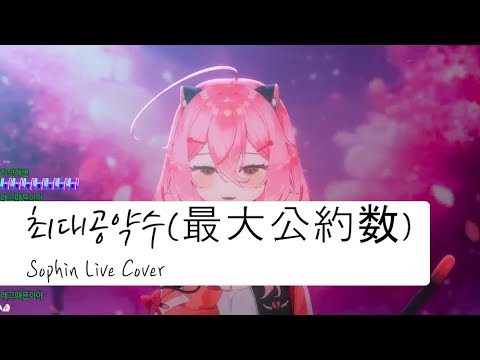 [소핀 Live] - 최대공약수(最大公約数)