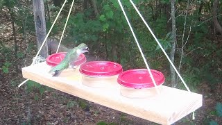Dollar Store Hack-Hummingbird Feeder; easy woodworking project