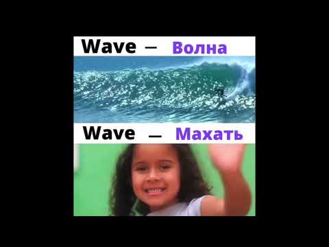 омонимы в английском