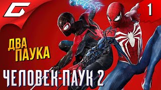 ИГРА ГОДА: Новый Паучок ➤ Spider Man 2 / Человек Паук 2 ◉ Прохождение 1