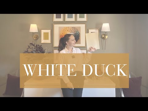 PAINT COLOR REVIEW | DULUX WHITE DUCK
