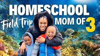 HOMESCHOOLING 3 UNDER 6 | Field Trip Adventure!