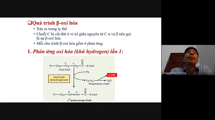 Acid palmitic 16c khi thoái hóa phải trải qua năm 2024