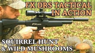 картинка: Охота на белок с FX DRS Tactical .22 | JSB 18.13 Пули и лесные грибы, которые можно найти в лесу