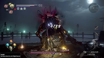 Nioh 2 Mixed sword and magic build (waiting for better sword)