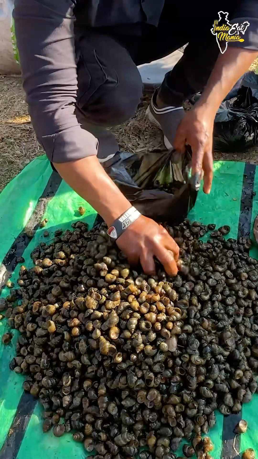 Jharkhandi Adivasi Style Ghonghi/Snails Masala Meat Making Rs. 40/- Only #ranchi #shorts