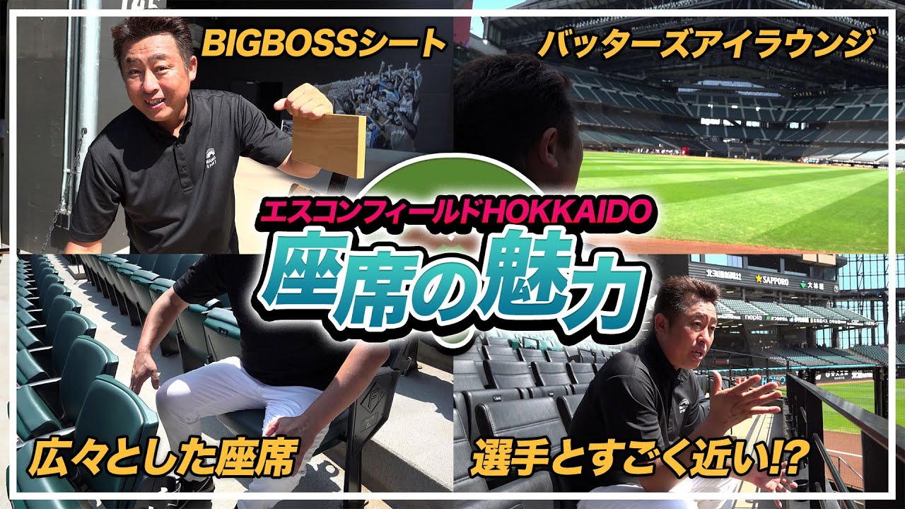 【圧倒的な臨場感】エスコンフィールドの各座席からの眺めを紹介！【ファイターズ】