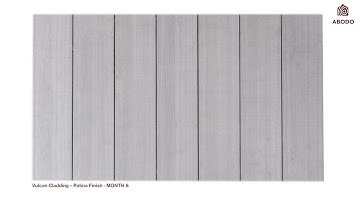 Vulcan Cladding in Protector - Patina / Watch Me Weather