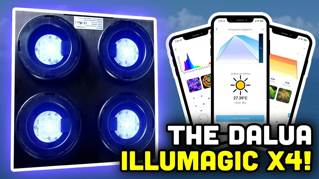 Dalua Illumagic X4! Using Reef Realism to Light YOUR Reef!