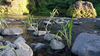 Night River Harmony – Smooth Water Sounds for Meditation