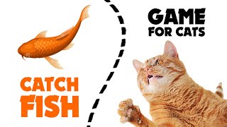 CAT GAMES  ★ catching FISH 1 hour screenshot 2