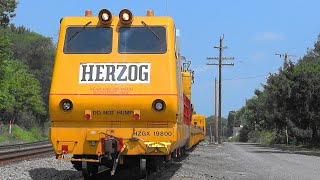 Herzog Rail Train Working Shenandoah Junction WV