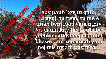 Qhias tu qaib hmoob tau coob coob