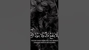 قرآن كريم بصوت القارئ: رعد الكردي || أجمل حالات واتس اب دينيه || تلاوة خاشعة 🌿