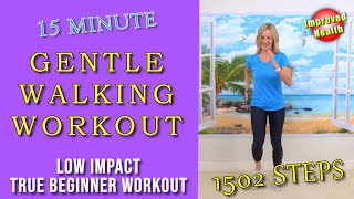 Walk at home with a GENTLE WALKING WORKOUT | Low Impact \& Safe for Seniors \& Beginners