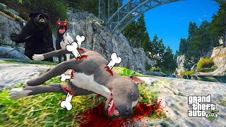 TERMİNATÖRÜN TÜM KEMİKLERİ NASIL KIRILDI? - GTA 5 PİTBULL'UN HAYATI