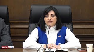 Խաղաղ ցուցարարների նկատմամբ բռնությունը ապտակ է ժողովրդավարությանը. Թագուհի Թովմասյան