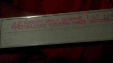 Walk Around The Block with Barney VHS Review