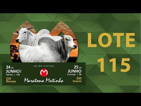 LOTE 115