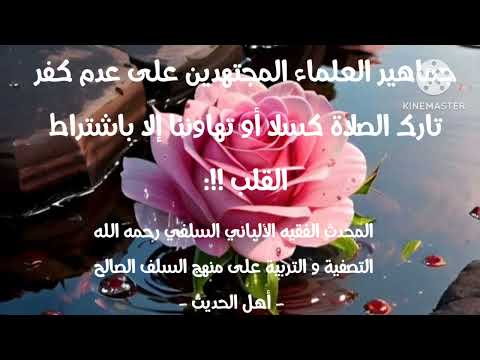 الإمام الألباني السلفي جماهير العلماء المجتهدين على عدم كفر تارك الصلاة كسلا أو تهاوننا كأحمد وغيره