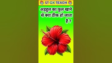 Top 50 ✍️ IAS Question🔥💯🥰 || GK Question and Answer|Part-225|#gkfacts#staticgk #bkgkstudy #gkinhindi